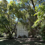 Sector de nichos de El Renacer rodeados de arboles y naturaleza